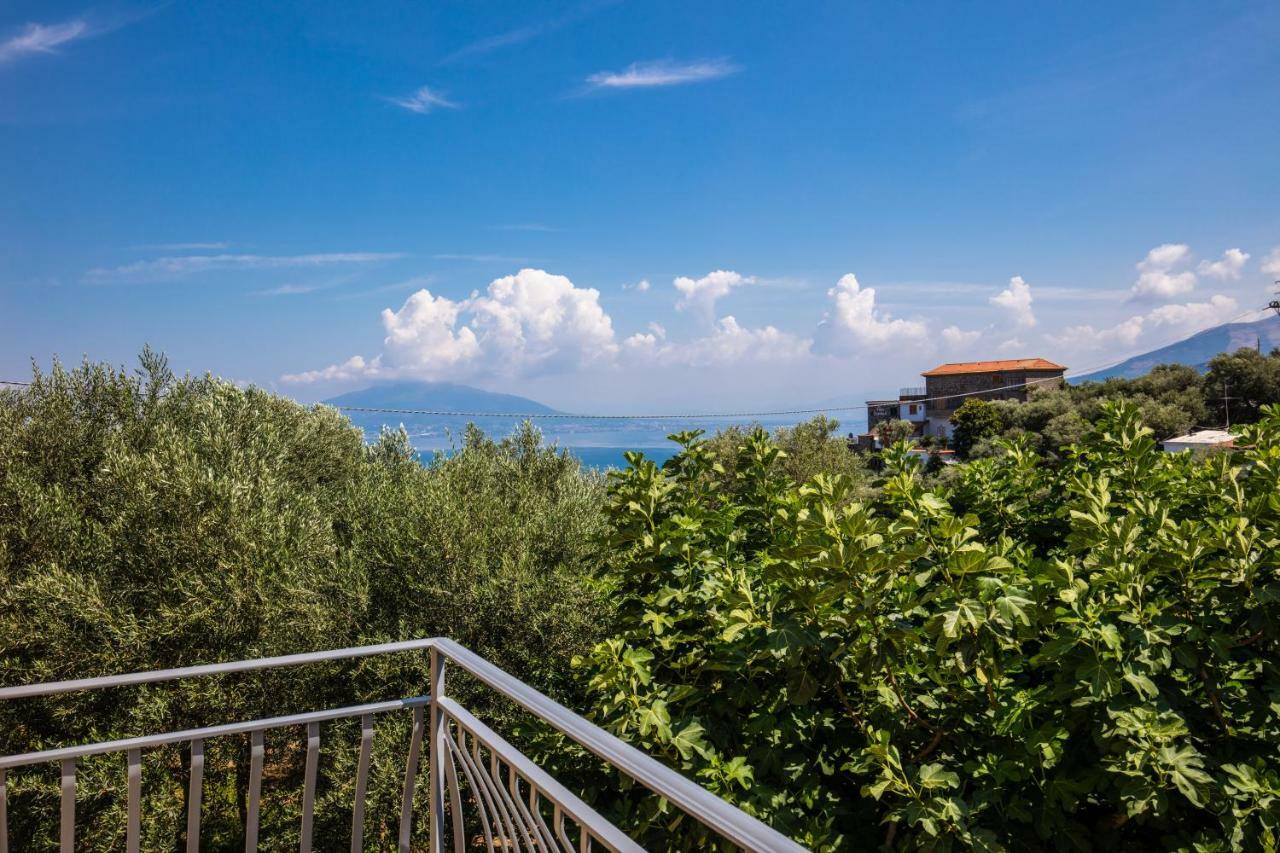 Chez Carme' Lägenhet Sorrento Exteriör bild